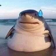 yuyeonhwa77139's profile picture. 