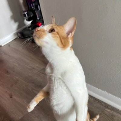 Wagonds's profile picture. they/he butch lesbian 
I AM AN ADULT!!!!!!! 
^^^^^^^^^^^^^
Check media for art
#YURI #AUTISM 🏳️‍⚧️🏳️‍🌈
Saw ghost live 7/17/25