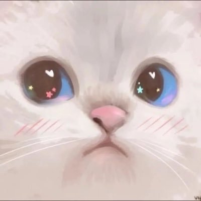 mᥡ ძᥱᥲr...