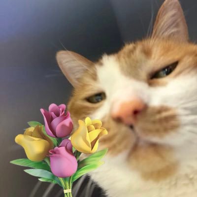 Show199313's profile picture. MW SK KS namneung lingling orm