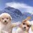 1a1waysW1thU's profile image