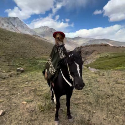 PreguntaleOnS0l's profile picture. CA: 57KoEZXm2mJwFqbB7fvcgZmmjс9mivFmKhXA45H Зритр Official Coin Onboarded by the owner, went live on PumpFun with dev wallet.