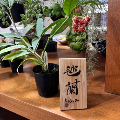 aisei_413's profile picture. アラサー書道家兼現場監督の日々の記録です｜散歩しながら植物観察するのが好き｜最近は妊娠体験も記録してます（2026年4月出産予定）