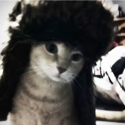 spinosedit1837's profile picture. 