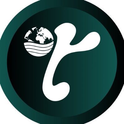 terrawireworld's profile picture. everything everywhere all at once