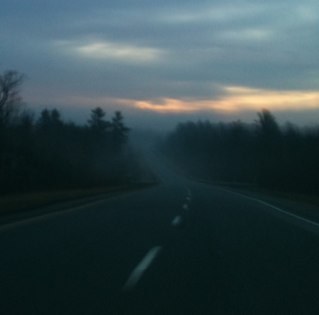 pciechanowska's profile picture. artist at heart