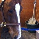 Lucy Jacobson - @lucyrjacobson - Twitter