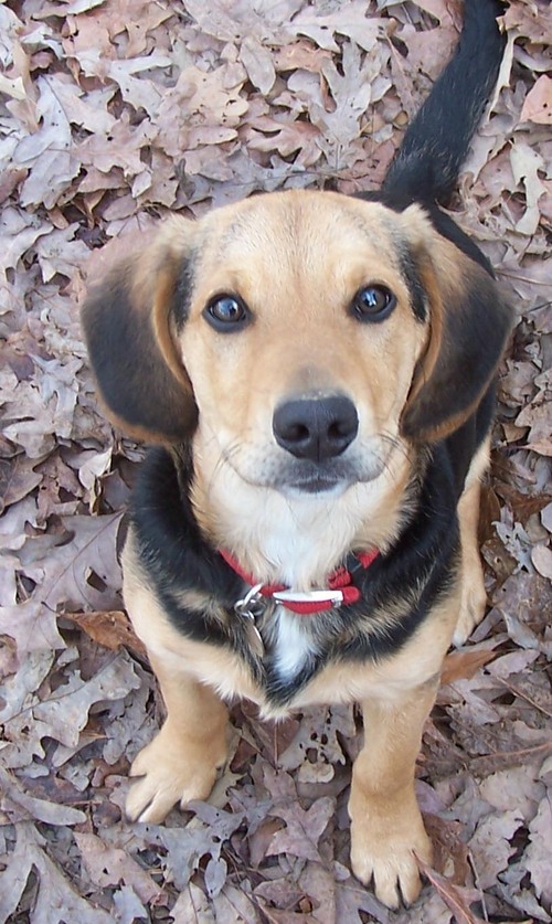 thetacklespot's profile picture. I love Bass Fishing and Archery in Southeast KY