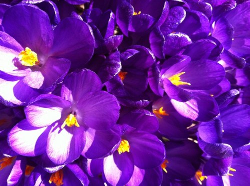 donaldmacc's profile picture. 