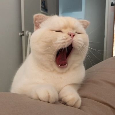 NXxmsin81533's profile picture. 