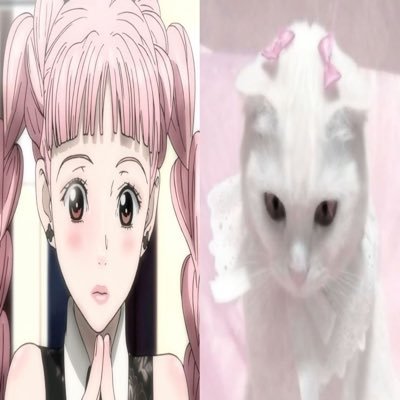 misomystique's profile picture. interested in folklore, tarot, animanga, games, literature and everything bizarre ♡ 26 she/her