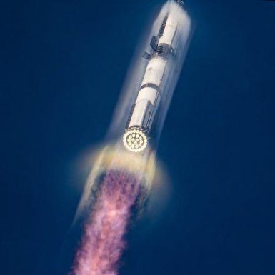 nasdagelonmusk's profile picture. NASDAQ-TSLA 📈