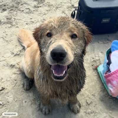 BuffBills17's profile picture. #BillsMafia #Bitcoin