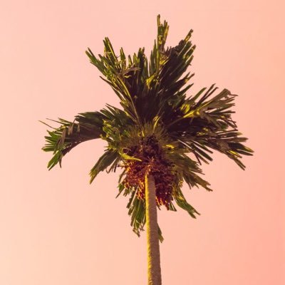 roii3_'s profile picture. 