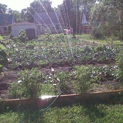 FlexVibe444's profile picture. Flexing a Healthy way of Vibing together with tips on Food, Exercise and Peace of Mind 💚