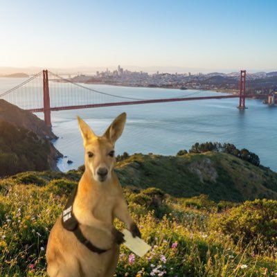 bubbleboi's profile picture. Brand Ambassador @thru_xyz. Head of Marketing @UntoLabs.