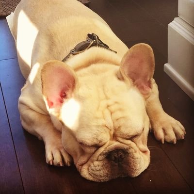 Citizen004's profile picture. Some posts are for fun, some to inform discussion, reposting is to share and differs from a repost and like. 
Pronouns - yokel/bumpkin