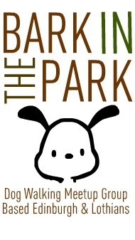 BarkInTheParkUK's profile picture. Website for dog lovers and owners. Launching 2012. Do you have a favourite walk, place to visit or are you a dog charity? Tell us on the website.