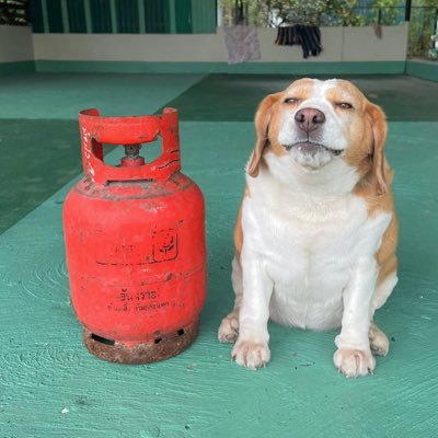 icoconeat's profile picture. professional plant appreciator / terrible photographer