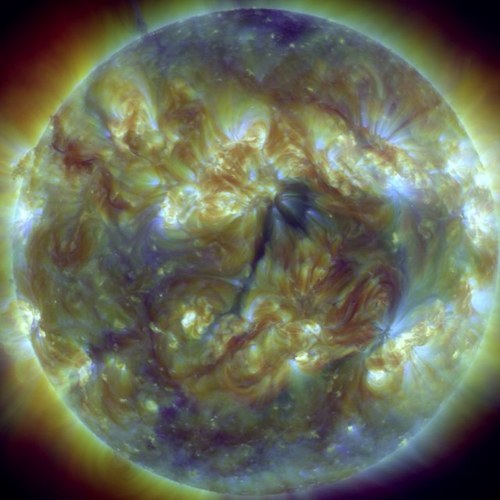 xterrorizex's profile picture. 