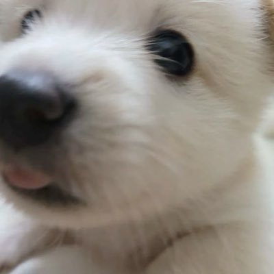 pluckymum's profile picture. 