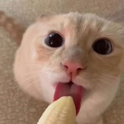 khx1_1's profile image