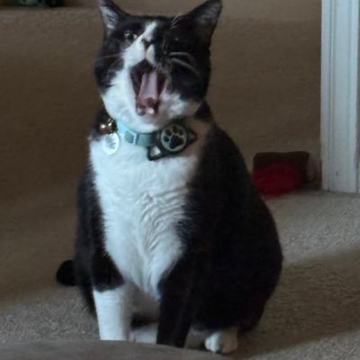 GramWnienke's profile picture. inventor, entrepreneur, TEXAS USA 🇺🇸