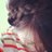 VintageRamble's profile image