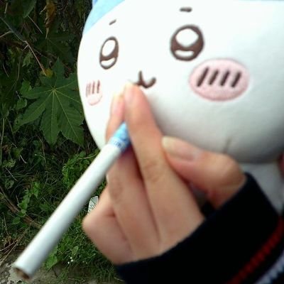 sereiaperolada's profile picture. ☆.𓋼 𓍊𓋼𓍊.☆
🧜🏻‍♀️