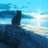Azgloomy_MSKE's profile image
