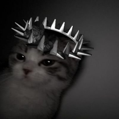 rivnsss's profile picture. just lock-in and grinding