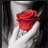 shd199419's profile image