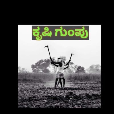 KrushiGumpu's profile picture. ಮಾರುಕಟ್ಟೆ ದರ,ಪಿ ಎಂ ಕಿಸಾನ್, ಬೆಳೆವಿಮೆ ಮತ್ತು ಬೆಳೆ ಪರಿಹಾರ,ಗೃಹಲಕ್ಷ್ಮಿ, ಅನ್ನಭಾಗ್ಯ, ಯುವನಿಧಿ,ಸರ್ಕಾರದ ಯೋಜನೆಗಳ ಮಾಹಿತಿ.
,ಎಲ್ಲ ಮಾಹಿತಿಗಳು  https://t.co/pgJQerixYR ಅಲ್ಲಿ ಸಿಗುತ್ತದೆ