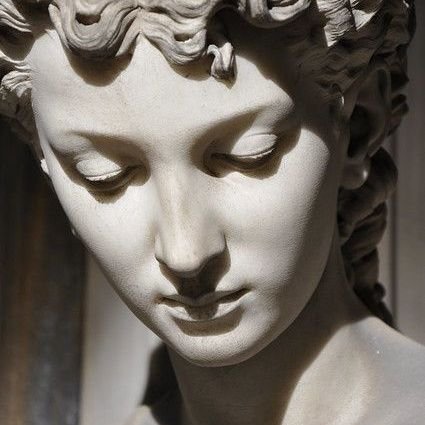 spareusthecuttr's profile picture. Adult hehim shedtwt