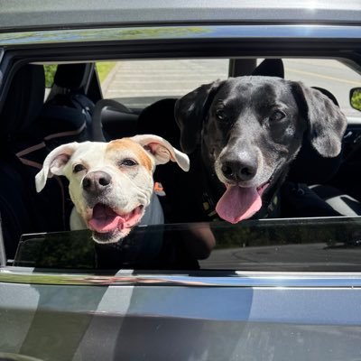 CoreyMirisola's profile picture. social media is the downfall of society but here I am anyway