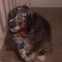 ChrisFarrow - @ChrisFarrow - Twitter