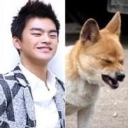 backmunglhr's profile picture. 용인 수지에 살고있습니다
로얄스포츠 사거리로 오세요!!