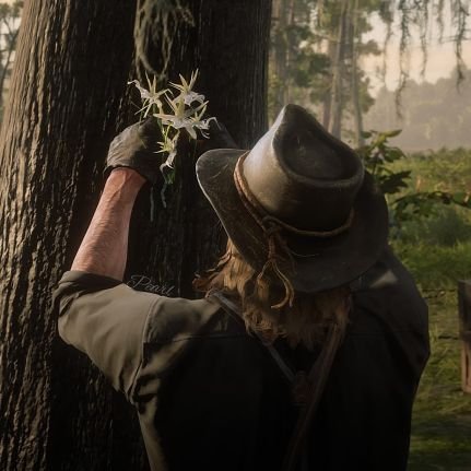 bluearkham's profile picture. don't look for me, im just a story you've been told