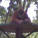 Lee Ching Kong - @kingkong_lee - Twitter