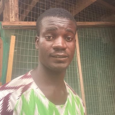 boitoolani's profile picture. Personal Opinions | Music Lover | fan of @arsenal