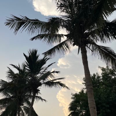 (وَاذْكُر رَّبَّكَ إِذَا نَسِيتَ)