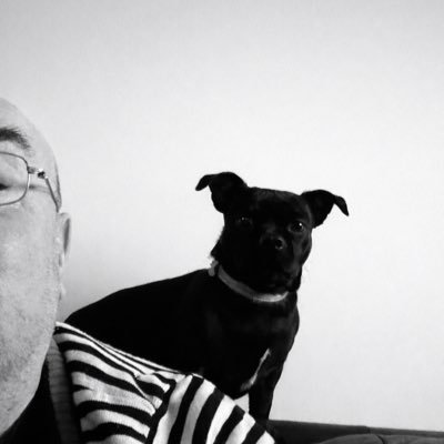MrBuddwing65's profile picture. ADHD | Dog Dad |Vegan cake baker | History graduate |