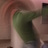 algoreen's profile image