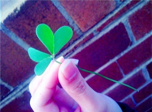 PHPHC1101's profile picture. 