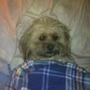 Tim Gette - @TimmerFregette - Twitter