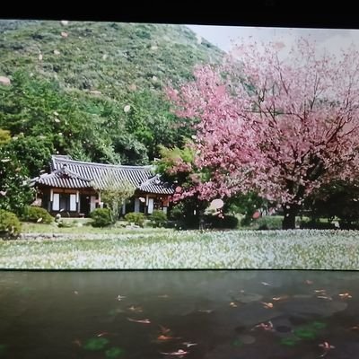 jhjh3146479's profile picture. 생은 발자국이고, 사는 그 지워짐이다.
WLFI