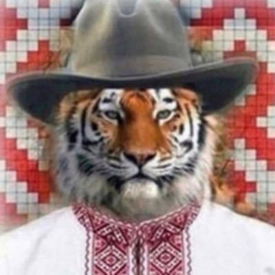 hi, I’m cryptoenthusiast