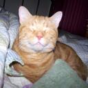 Joyce Brumfield - @bygrace1 - Twitter