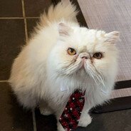 chstx64's profile picture. breaking and building things.
My magic is strong.