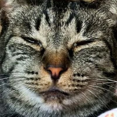 前₍₍ ᕕ( ᐛ )ᕗ⁾⁾₍₍ ᕕ( ᐖ )ᕗ⁾⁾